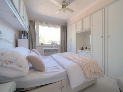 Picture 8